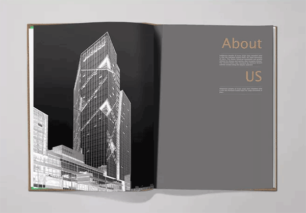 高檔樓書(shū) 第3張 高檔樓書(shū) 第3張