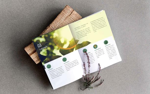 產(chǎn)品畫冊  第4張