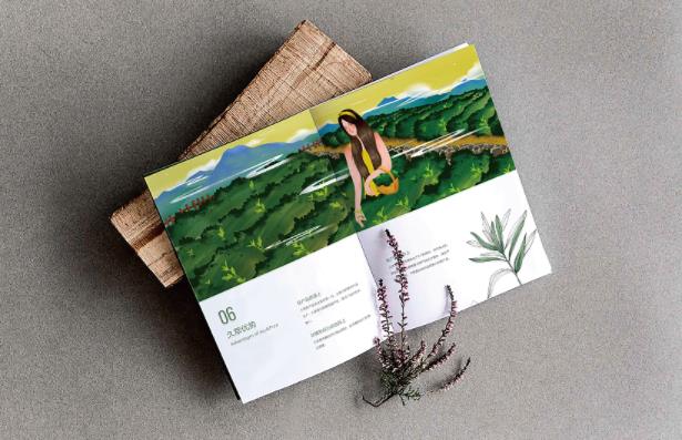 產(chǎn)品畫冊  第7張