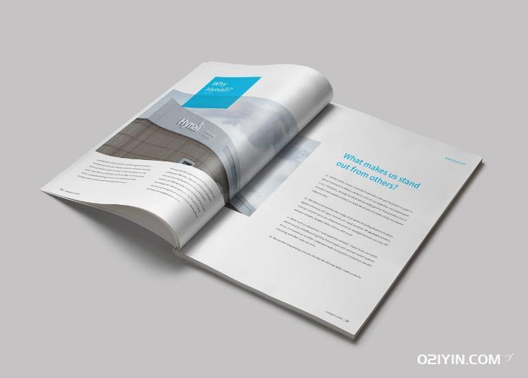 企業(yè)高檔畫冊  第3張