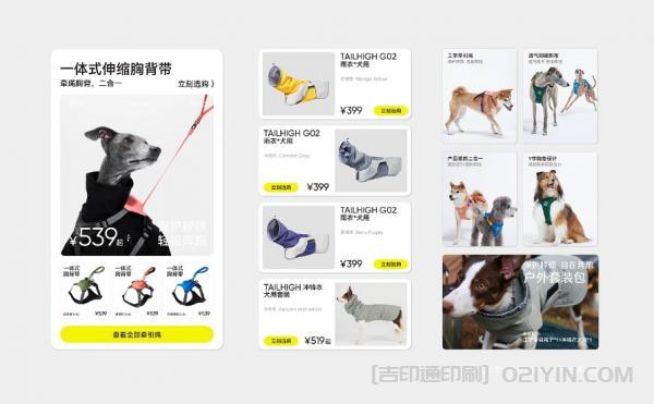 寵物品牌形象VI設(shè)計(jì)印刷  第6張