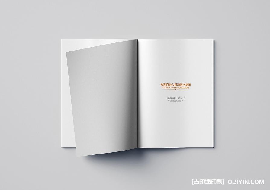 集團(tuán)企業(yè)宣傳樣本印刷報(bào)價(jià) 第3張 集團(tuán)企業(yè)宣傳樣本印刷報(bào)價(jià) 第3張