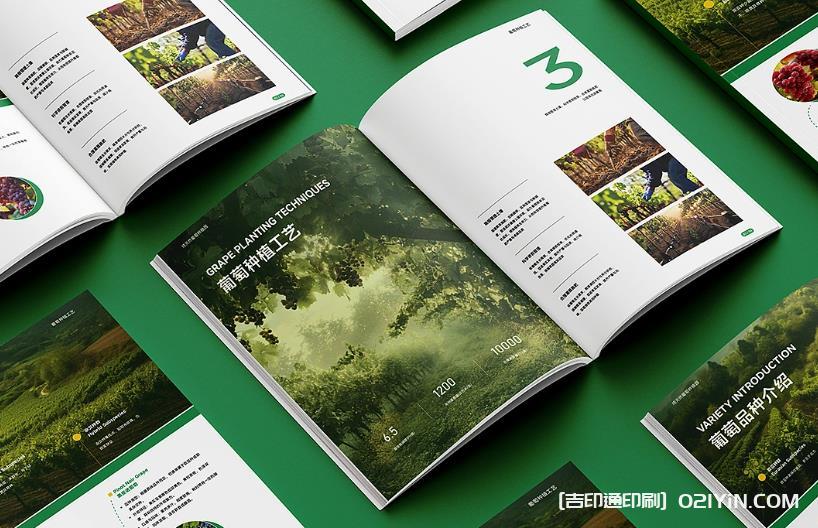 上海產(chǎn)品畫冊印刷避坑指南：文件規(guī)范、工期把控與質(zhì)量驗(yàn)收要點(diǎn)