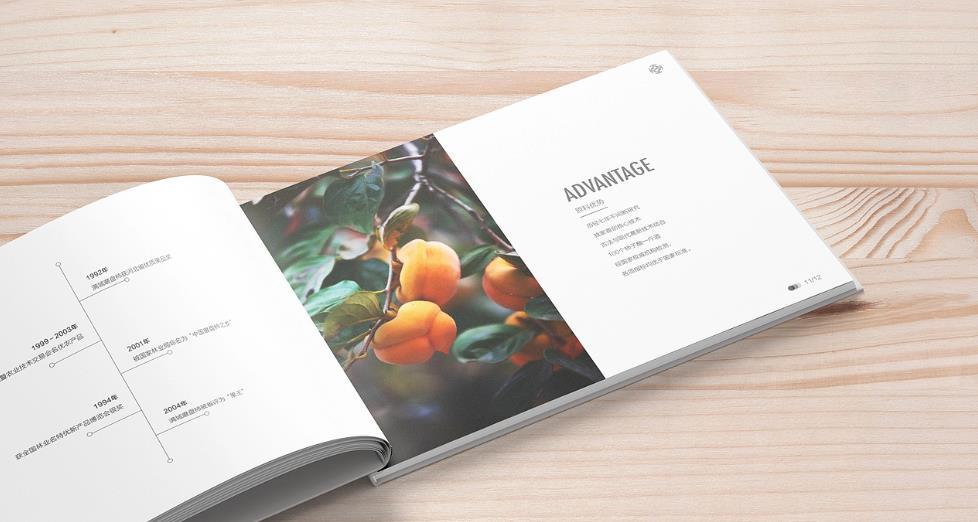 上海黃浦區(qū)畫冊印刷的設(shè)計需求有哪些？