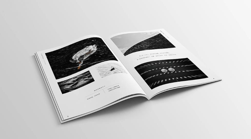 上海專業(yè)樣本畫冊(cè)印刷：企業(yè)的品牌形象守護(hù)者